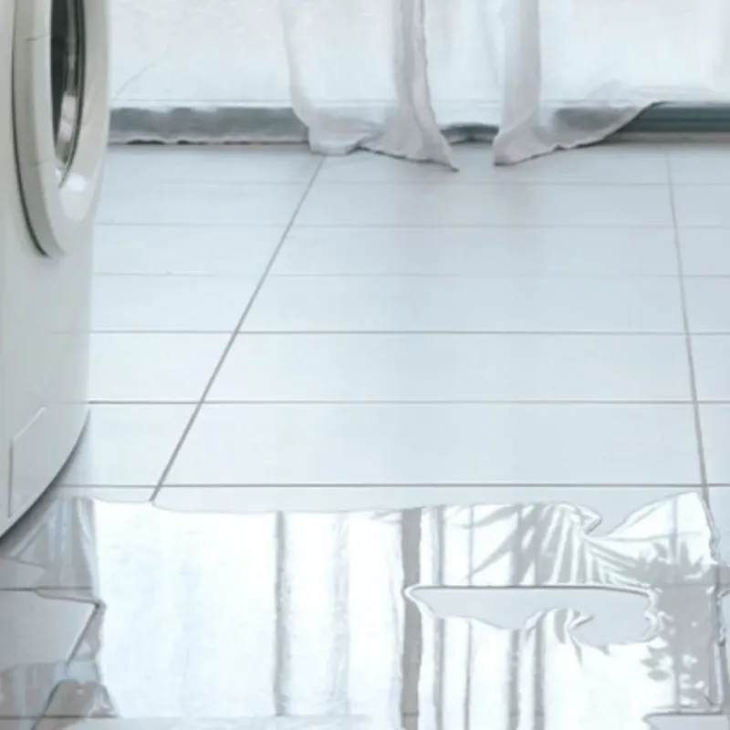 Appliance Leak Cleanup in Southworth, WA