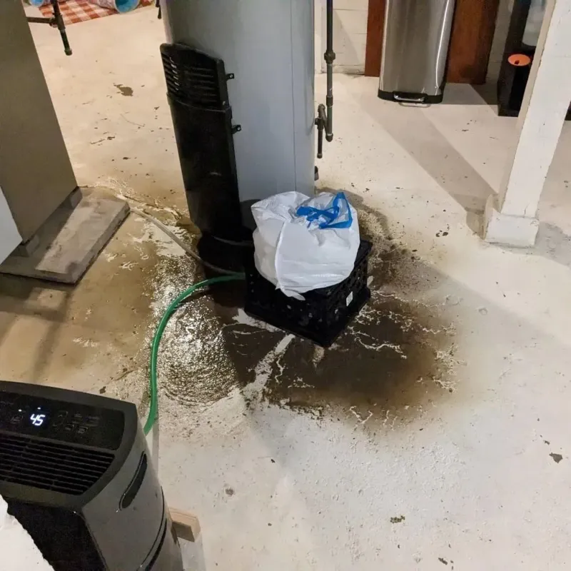 Sewage Backup Cleanup Service in Southworth, WA
